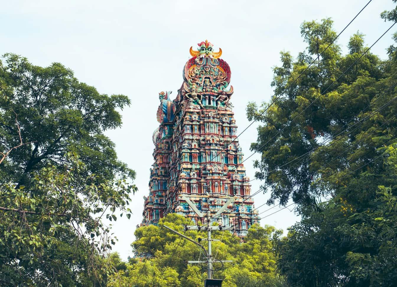A gopuram of Meenakshi Amman Temple in Madurai rising above the trees