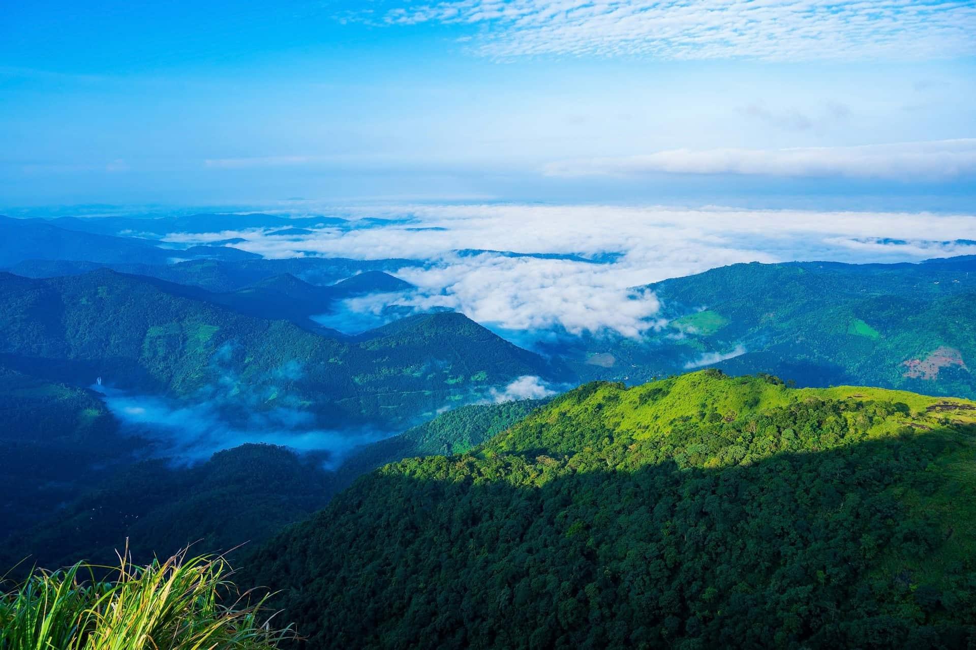 Misty hills and valleys near Vagamon, Kerala